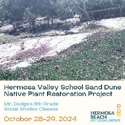 Hermosa Valley School Sand Dune Native Plant Restoration Project - Mr. Dodge\'s 8th Grade Social Studies Classes - October 28-29, 2024